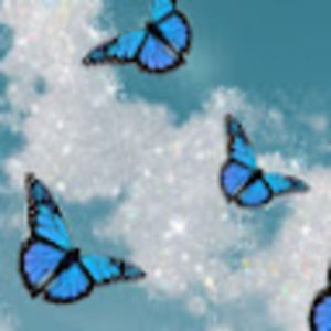 Meet your Posher, Dulce maria